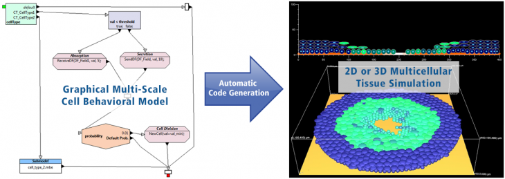 EPISIM Modeling and Simulation Platform